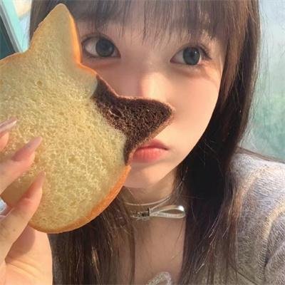 大内特工队